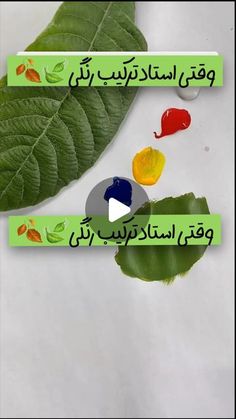 the words in arabic are written on green paper with leaves and flowers around them,