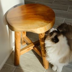 a black and white cat standing next to a wooden stool