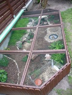 an outdoor area with various types of animals in the fenced off area and grass growing on the ground