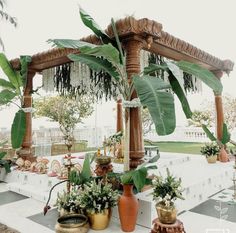 several potted plants are sitting on a table in front of a palm tree and chandelier