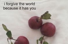 three red apples with green leaves on them and the words i forgot the world because it has you