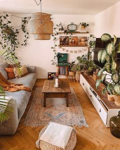 a living room filled with furniture and lots of plants