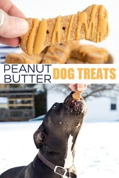 there is a dog that has peanut butter on it's nose and the caption reads, peanut butter dog treats