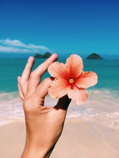 a person's hand holding a flower in front of the ocean