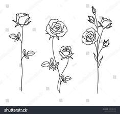 three roses drawn in one line on a white background, black and white flowers drawing