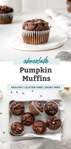 chocolate pumpkin muffins on a plate with the title above it