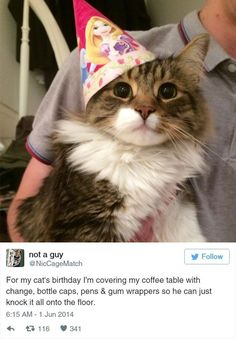 a cat wearing a birthday hat on top of its owner's shoulder and looking at the camera