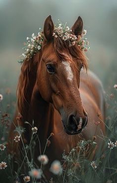 a brown horse standing on top of a lush green field covered in white wildflowers