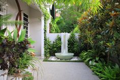 an outdoor garden with lots of greenery and plants in it's back yard