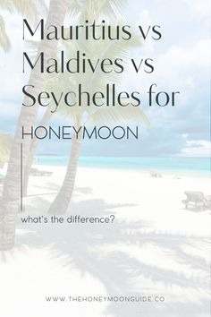 palm trees on the beach with text that reads, maurius vs maldives vs