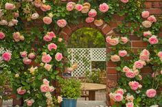 pink roses are growing on the side of a brick wall in front of a table and chairs