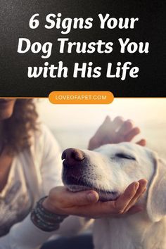 a woman petting a dog with the title 6 signs your dog trusts you with his life