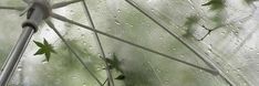 the inside of an umbrella with leaves on it and water droplets all over it,