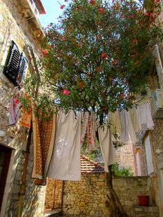 an alleyway with clothes hanging from the trees