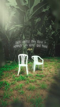 two white chairs sitting on top of a grass covered field next to a plant filled wall