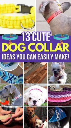 collage of dog collars and leashes with text overlay that reads 13 cute dog collar ideas you can easily make