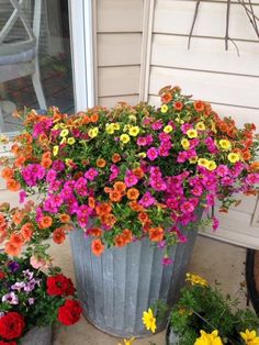 colorful flowers are growing in an old metal bucket on the front porch, along with potted plants