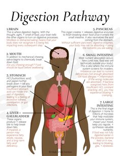 HANDOUTS — Functional Health Research + Resources — Made Whole Nutrition