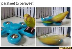 a yellow bird sitting on top of a blue toy