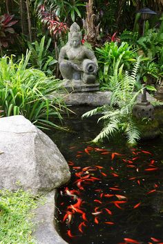 there are many fish in the pond and one is sitting on a stone buddha statue