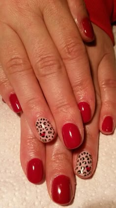 Heart Leopard Nails, Animal Print Valentine Nails, Pink And Red Leopard Print Nails, Leopard Print Heart Nails, Leopard Print Valentine Nails, Red And Black Animal Print Nails, Valentines Leopard Nails, Red Leapord Nails, Red Nails With Animal Print