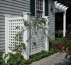 an image of a white trellis on the side of a house with blue trim