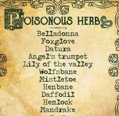 Poisonous Herbs, Celtic Witch, Magickal Herbs, Witch Herbs, Magic Herbs, Magical Herbs