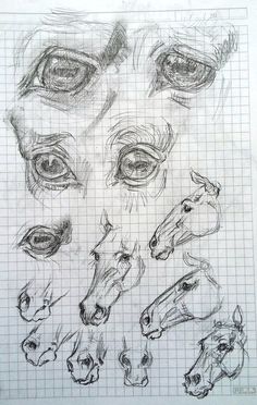 several different types of horses drawn on graph paper