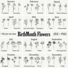 Birthday Flowers By Month, Birthmonth Flower, Birth Flower Svg, Daisy Svg, Rose Svg, Flower Chart, Floral Svg, Flowers Svg, Free Silhouette