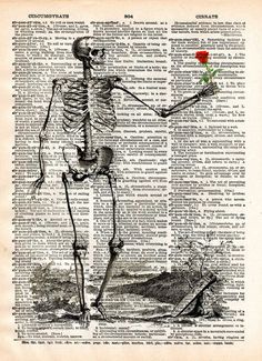 a skeleton holding a red rose on top of an old book page with words written in it