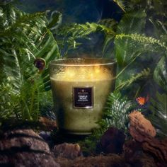 a lit candle surrounded by plants and rocks