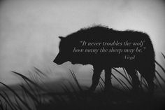 a wolf silhouetted against a foggy sky with a quote written on the side