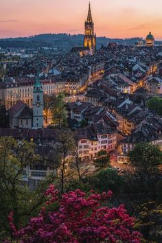 the city is lit up at night with pink flowers on the trees and buildings in the foreground