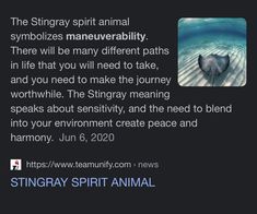 the sting ray spirit animal symbolizes maneuver ability there will be many different paths in life that you will need to take, and you need to make the journey worth