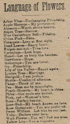 an old book page with words written in black and white on the bottom, below it is a list of flowers