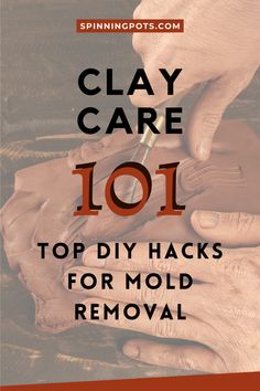 clay care 1011 top diy hacks for mold removal with text overlay