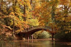 a bridge over a body of water surrounded by trees with orange and yellow leaves on it