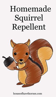 a squirrel holding a cup with the words homemade squirrel repellent written on it