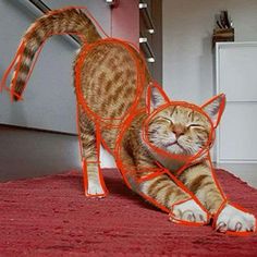 a cat with its eyes closed and it's head in an orange net