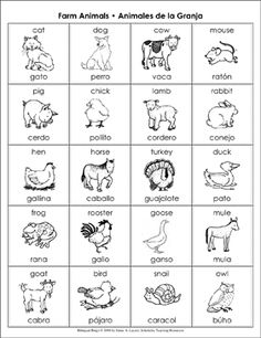 the spanish animal alphabet worksheet is shown in black and white, with pictures of animals