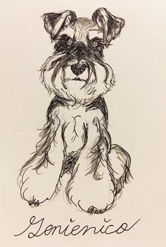 a black and white drawing of a dog with the word benice written on it