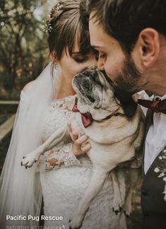 a bride and groom kissing their pug in front of the camera with trees behind them