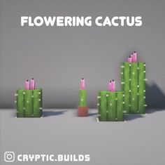 some cactuses with candles in them and the words flowering cactus on each one