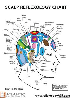 Human Body Pressure Points, Scalp Pressure Points, Facial Reflexology Chart, Face Reflexology Chart, Reflexology Pressure Points, Healing Reflexology, Ear Reflexology, Hand Reflexology, Massage Therapy Techniques