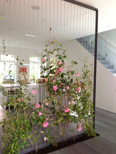 pink flowers are growing on the side of a glass wall in front of stairs and staircases