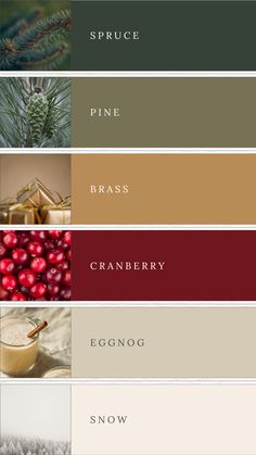 This vintage Christmas colour palette combines deep greens, rich reds, gold, and soft cream for a classic, elegant holiday look. Perfect for a Christmas wedding or festive celebration, these timeless colours evoke a nostalgic, vintage charm while adding warmth and sophistication to your event decor. Colour Palette Seasons, Christmas Colour Palette Hex Codes, Christmas Wedding Pallet Colors, Vintage Luxury Color Palette, Winter Colour Scheme, December Wedding Palette, Christmas Color Palate, Green Burgundy Color Palette, Wedding Colour Schemes Winter