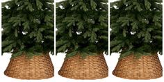 three different views of a pine tree in a wicker basket on a white background