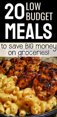 the cover of the book 20 low budget meals to save big money on groceries, with an image of chicken and macaroni