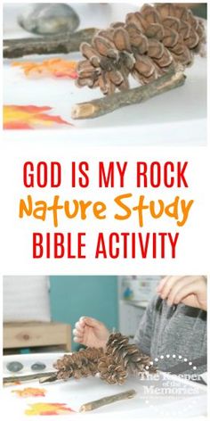 the nature study bible activity for kids with pine cones and watercolors on it