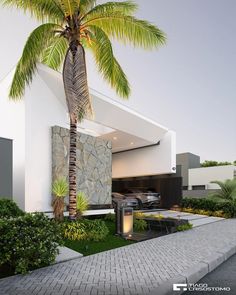 a palm tree in front of a modern house